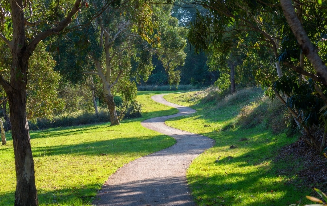 Natural winding dirt path through a sunny Australian park with eucalyptus trees and soft daylight, symbolising small steps and building momentum